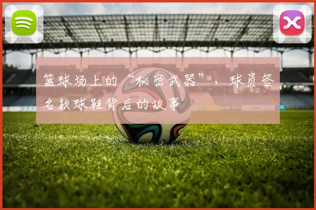 篮球场上的“秘密武器”，球员签名款球鞋背后的故事