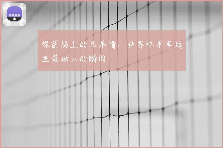 绿茵场上的兄弟情，世界杯季军战里最动人的瞬间
