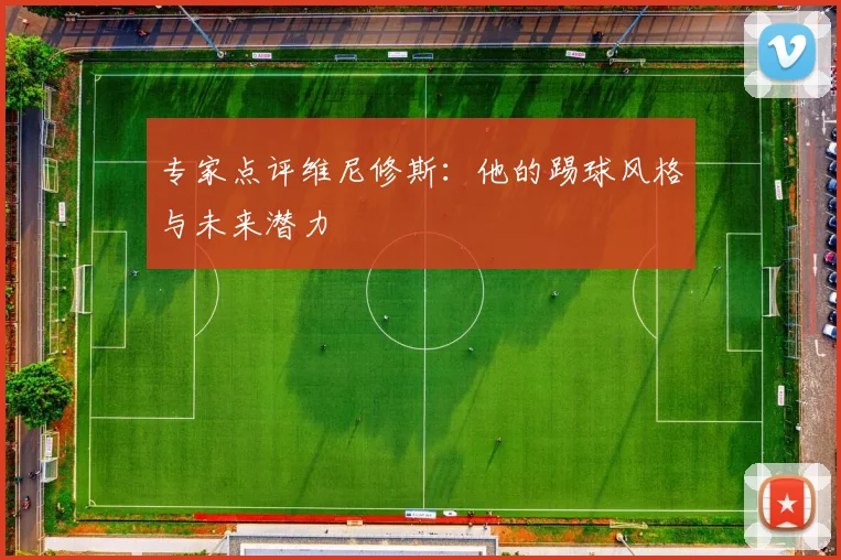 专家点评维尼修斯:他的踢球风格与未来潜力