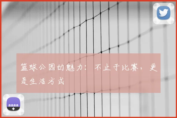 篮球公园的魅力：不止于比赛，更是生活方式