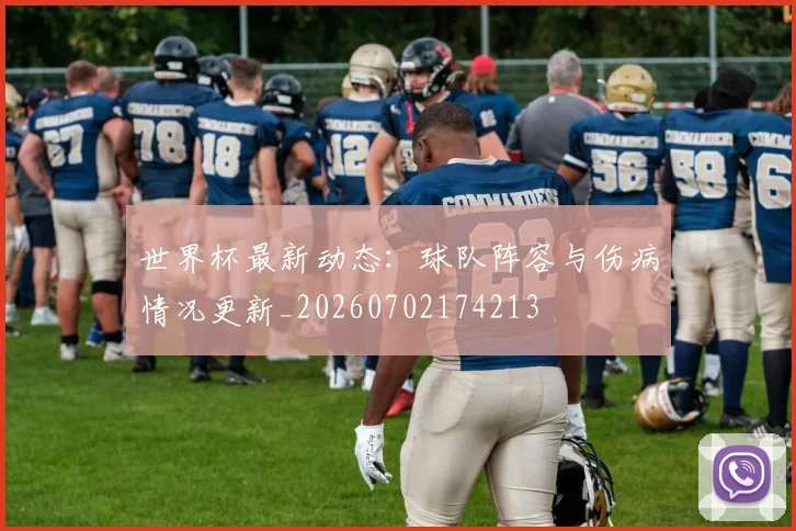世界杯最新动态：球队阵容与伤病情况更新_20260702174213