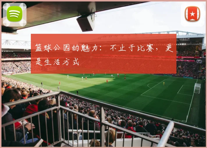 篮球公园的魅力：不止于比赛，更是生活方式